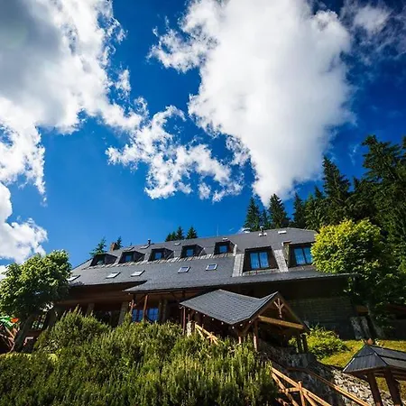 Hotel Horsky Vidly