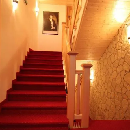 Hotell Horsky Vidly 3*