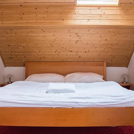 Horsky Vidly Guest house