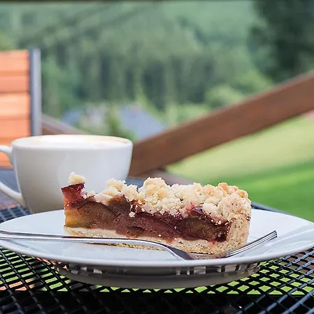 Horsky Vidly Gasthof 3*