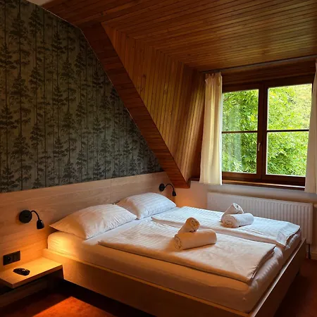 Horsky Vidly Karlova Studánka