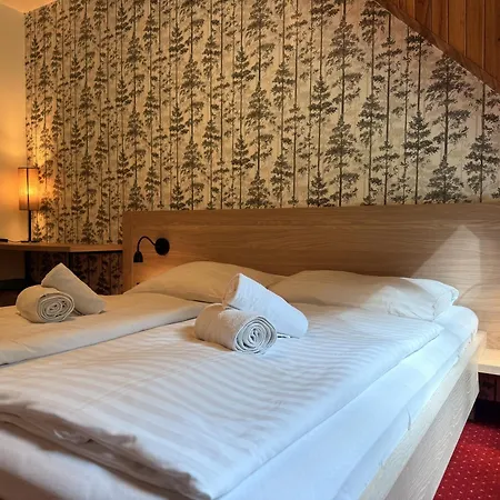 Hotel Horsky Vidly Karlova Studánka