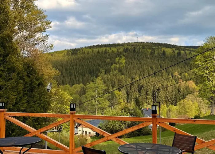Hotel Horský Vidly 3*