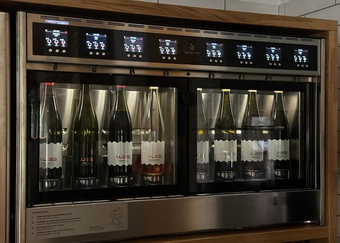 酒店 Horsky Vidly 3*